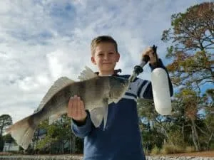Photo from a Lowcountry Lazy Charters fishing trip