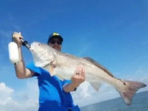 Photo from a Lowcountry Lazy Charters fishing trip
