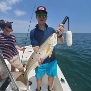 Photo from a Lowcountry Lazy Charters fishing trip