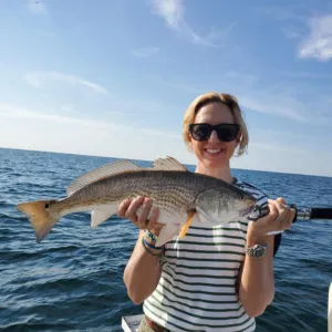 Photo from a Lowcountry Lazy Charters fishing trip