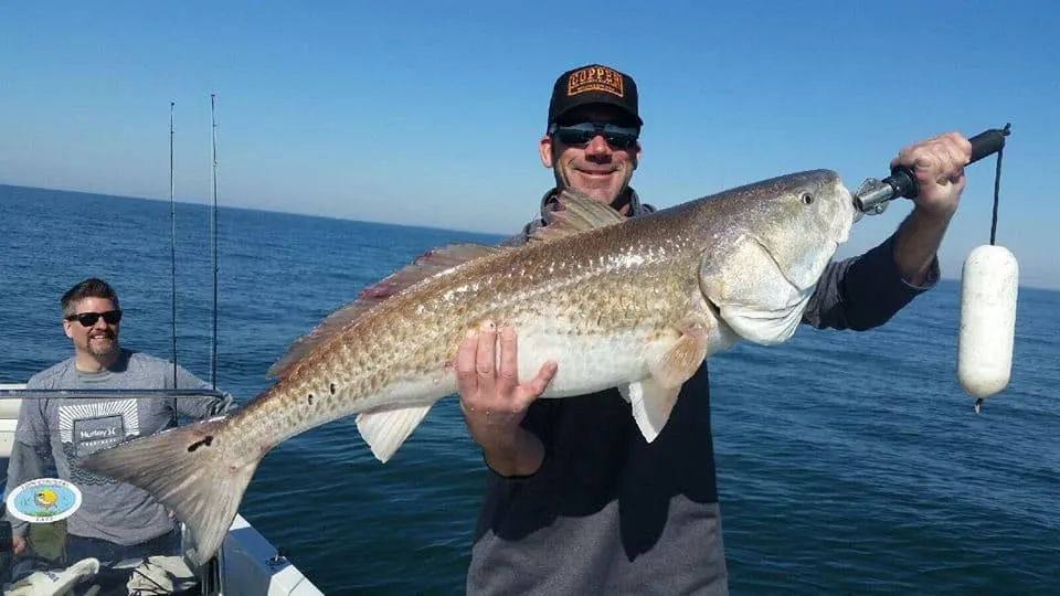 Angler on a Lowcountry Lazy Charters fishing trip near Charleston, SC