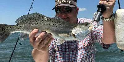 Angler holding a large speckled trout on an inshore fishing charter