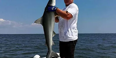 Captain Shane Green holding a shark caught on a Charleston shark charter
