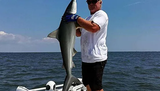 Captain Shane Green holding a shark caught on a Charleston shark charter